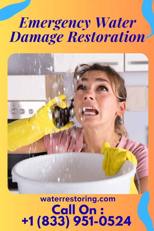Emergency Water Damage Restoration in Coto de Caza, CA